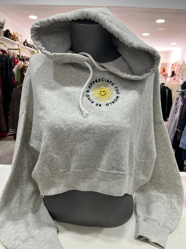 Sudadera gris Hollister con gráfico de sol